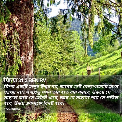 যিচয়া 31:3 BENIRV Bible Verse Image