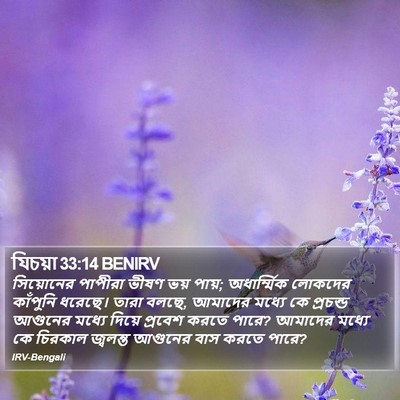 যিচয়া 33:14 BENIRV Bible Verse Image