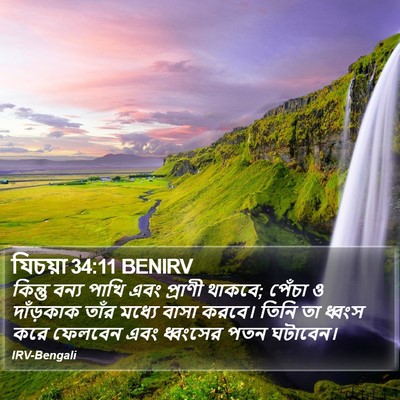 যিচয়া 34:11 BENIRV Bible Verse Image