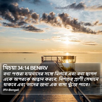 যিচয়া 34:14 BENIRV Bible Verse Image