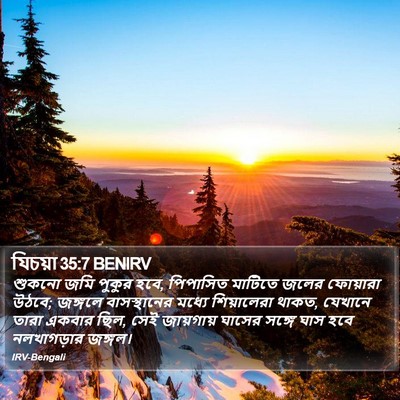যিচয়া 35:7 BENIRV Bible Verse Image