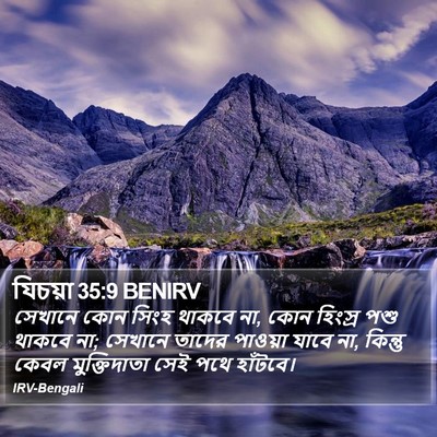 যিচয়া 35:9 BENIRV Bible Verse Image
