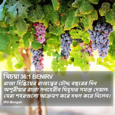 যিচয়া 36:1 BENIRV Bible Verse Image