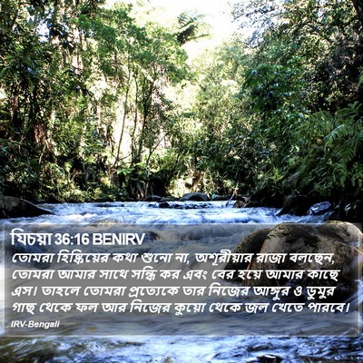 যিচয়া 36:16 BENIRV Bible Verse Image