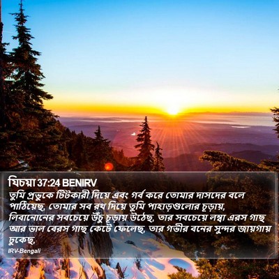 যিচয়া 37:24 BENIRV Bible Verse Image