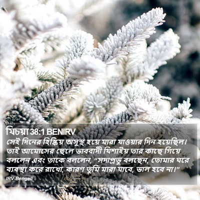 যিচয়া 38:1 BENIRV Bible Verse Image