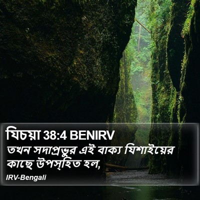যিচয়া 38:4 BENIRV Bible Verse Image