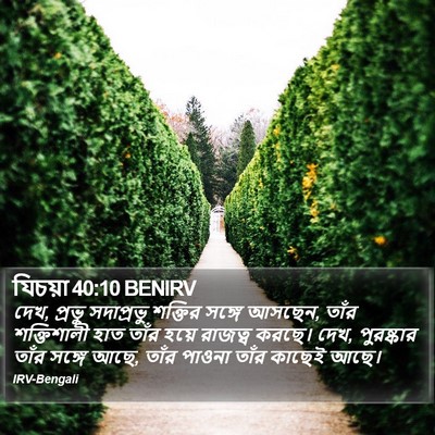 যিচয়া 40:10 BENIRV Bible Verse Image