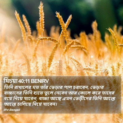 যিচয়া 40:11 BENIRV Bible Verse Image