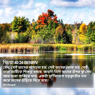 যিচয়া 40:24 BENIRV Bible Verse Image
