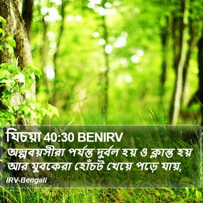 যিচয়া 40:30 BENIRV Bible Verse Image