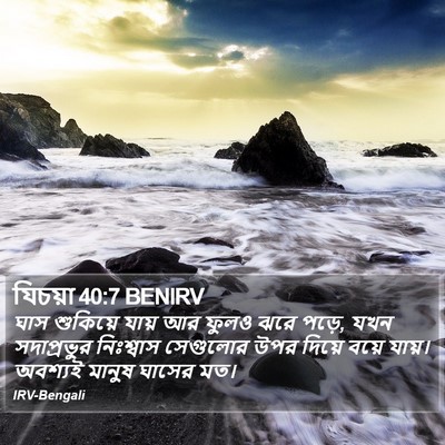 যিচয়া 40:7 BENIRV Bible Verse Image
