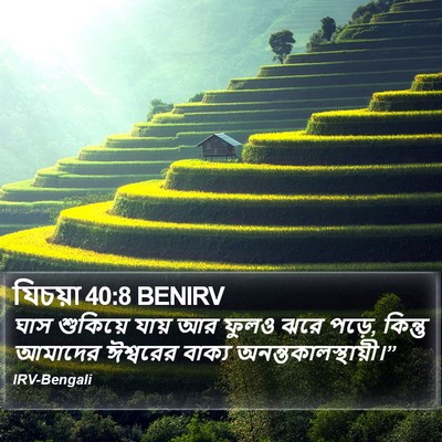যিচয়া 40:8 BENIRV Bible Verse Image