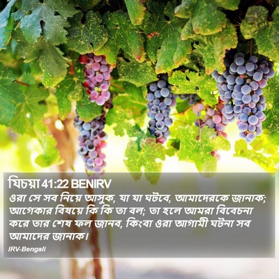 যিচয়া 41:22 BENIRV Bible Verse Image