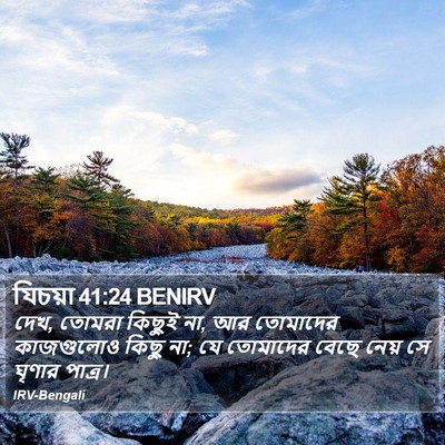 যিচয়া 41:24 BENIRV Bible Verse Image