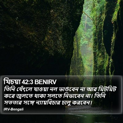 যিচয়া 42:3 BENIRV Bible Verse Image
