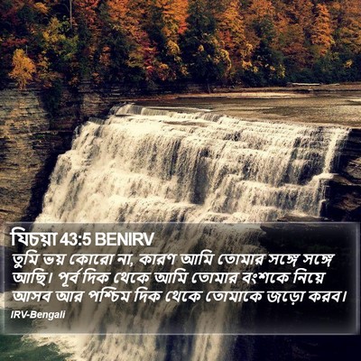 যিচয়া 43:5 BENIRV Bible Verse Image