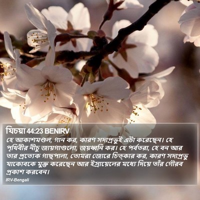 যিচয়া 44:23 BENIRV Bible Verse Image