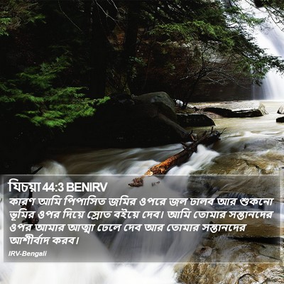 যিচয়া 44:3 BENIRV Bible Verse Image