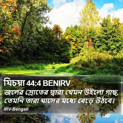 যিচয়া 44:4 BENIRV Bible Verse Image