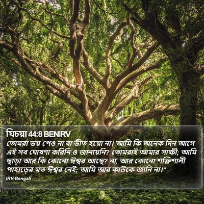 যিচয়া 44:8 BENIRV Bible Verse Image