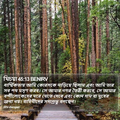 যিচয়া 45:13 BENIRV Bible Verse Image