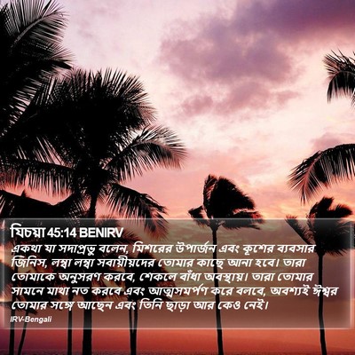 যিচয়া 45:14 BENIRV Bible Verse Image