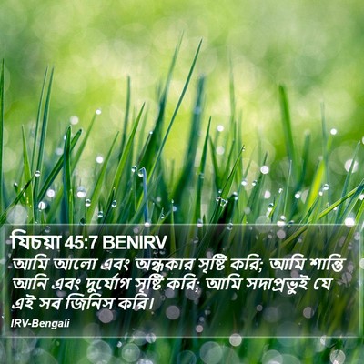 যিচয়া 45:7 BENIRV Bible Verse Image
