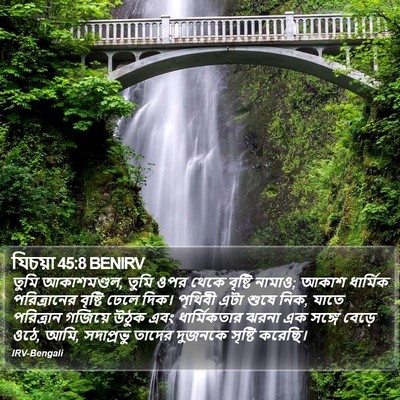 যিচয়া 45:8 BENIRV Bible Verse Image