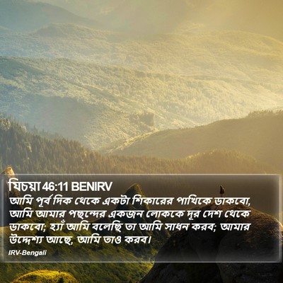 যিচয়া 46:11 BENIRV Bible Verse Image