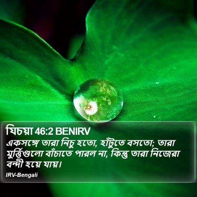 যিচয়া 46:2 BENIRV Bible Verse Image