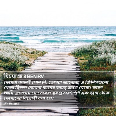 যিচয়া 48:8 BENIRV Bible Verse Image