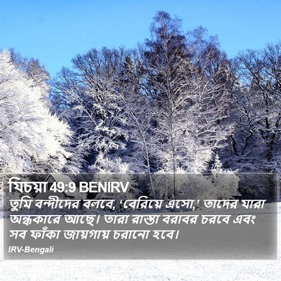 যিচয়া 49:9 BENIRV Bible Verse Image