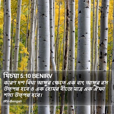 যিচয়া 5:10 BENIRV Bible Verse Image