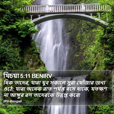 যিচয়া 5:11 BENIRV Bible Verse Image