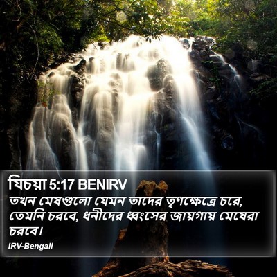 যিচয়া 5:17 BENIRV Bible Verse Image