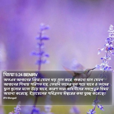 যিচয়া 5:24 BENIRV Bible Verse Image