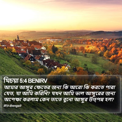 যিচয়া 5:4 BENIRV Bible Verse Image