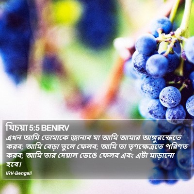 যিচয়া 5:5 BENIRV Bible Verse Image