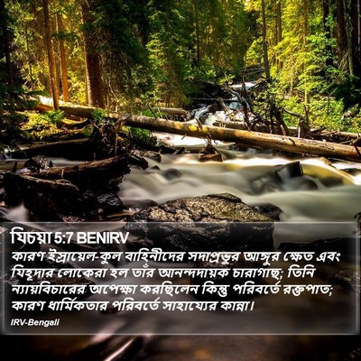 যিচয়া 5:7 BENIRV Bible Verse Image