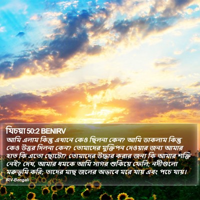 যিচয়া 50:2 BENIRV Bible Verse Image