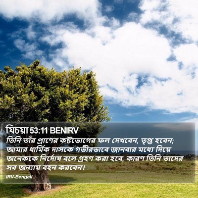 যিচয়া 53:11 BENIRV Bible Verse Image