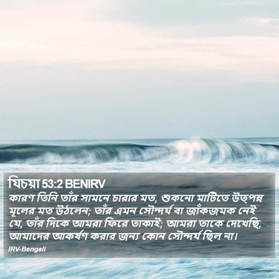 যিচয়া 53:2 BENIRV Bible Verse Image