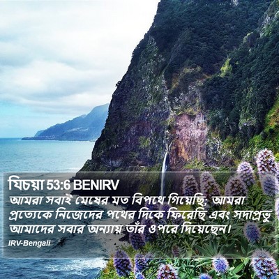 যিচয়া 53:6 BENIRV Bible Verse Image