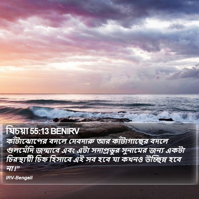 যিচয়া 55:13 BENIRV Bible Verse Image