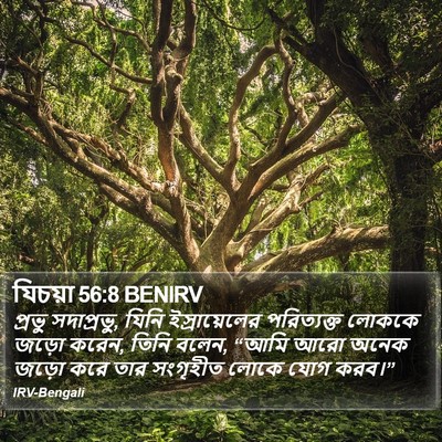 যিচয়া 56:8 BENIRV Bible Verse Image