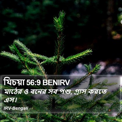 যিচয়া 56:9 BENIRV Bible Verse Image