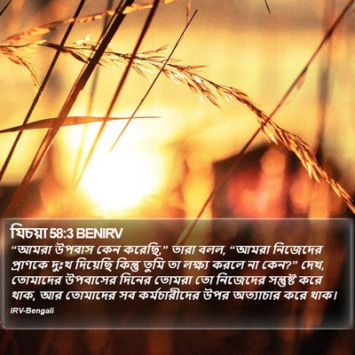 যিচয়া 58:3 BENIRV Bible Verse Image