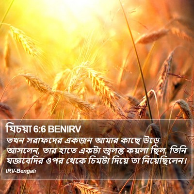 যিচয়া 6:6 BENIRV Bible Verse Image