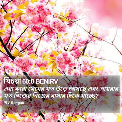 যিচয়া 60:8 BENIRV Bible Verse Image